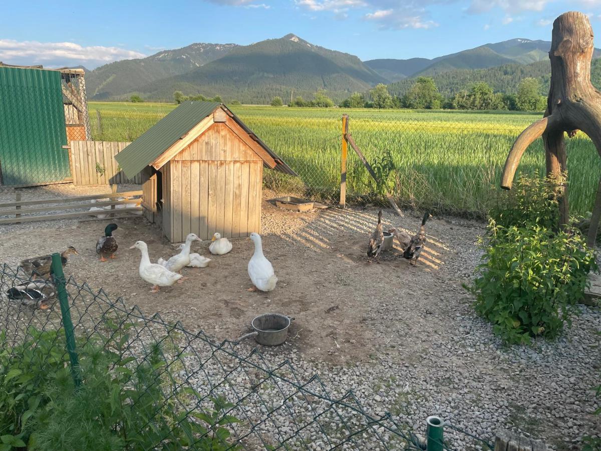 Privat Luna Ľubeľa Bagian luar foto